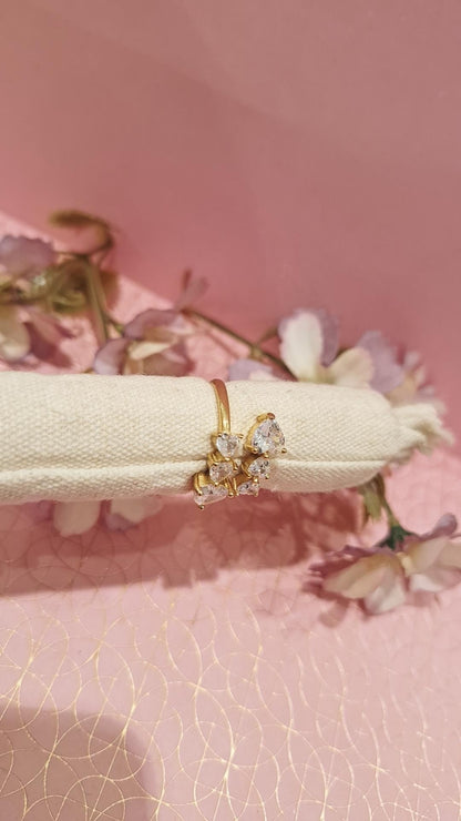 Anello Sierra