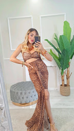 Set Completo Susy